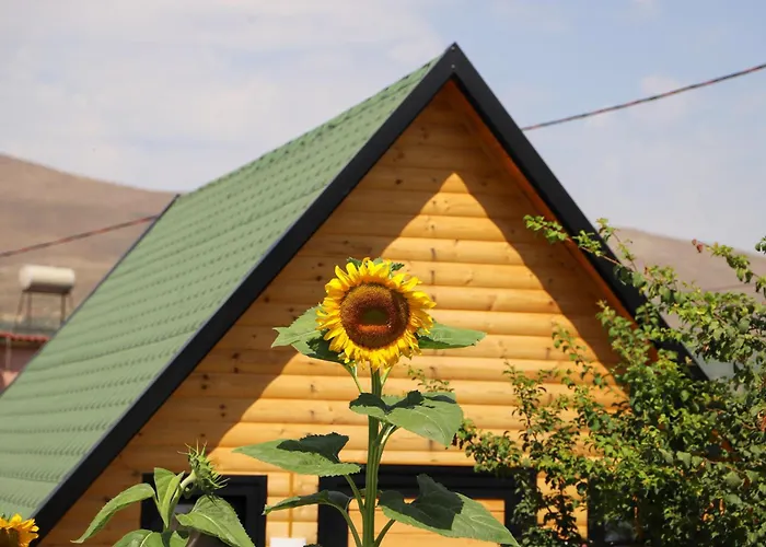 Wood House Berat
