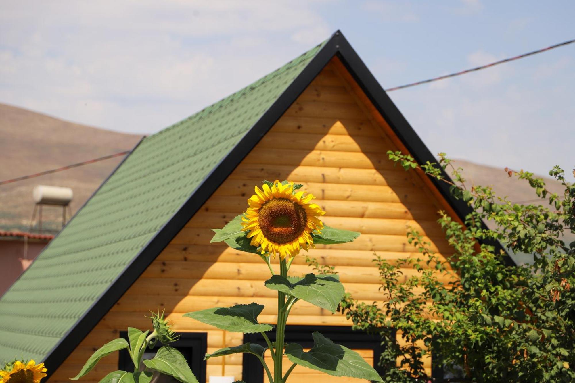 Villa Wood House Berat