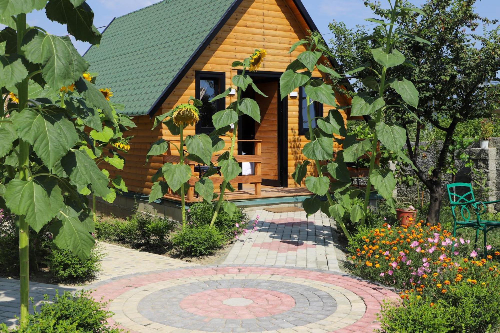 Wood House Villa