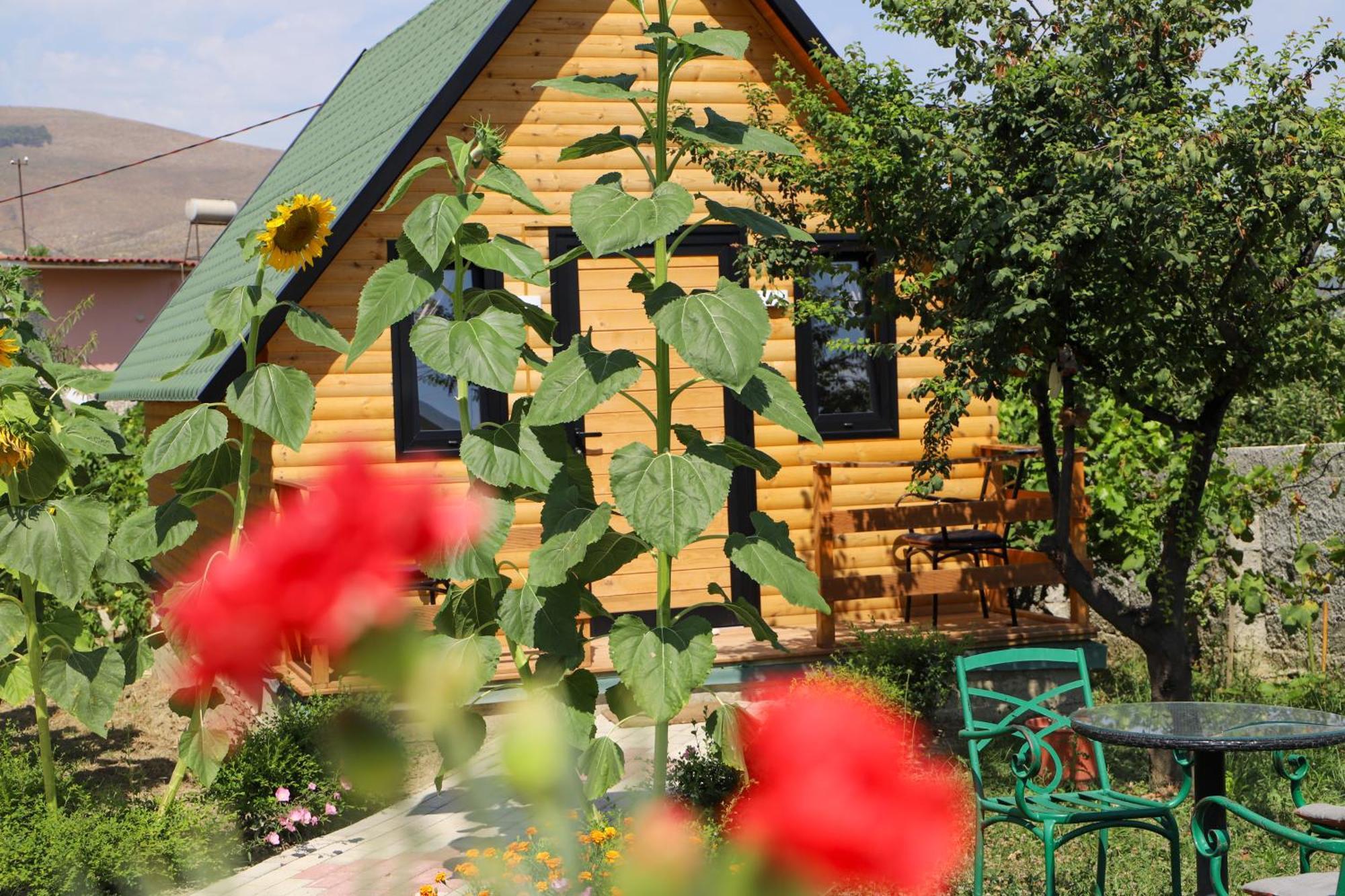 Villa Wood House Berat